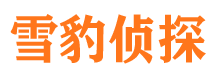 大悟外遇调查取证